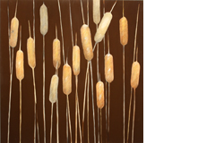 Cattails 2