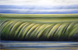 Marsh