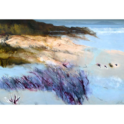 Nanny Goat Beach 48 X 66 by Randy Akers