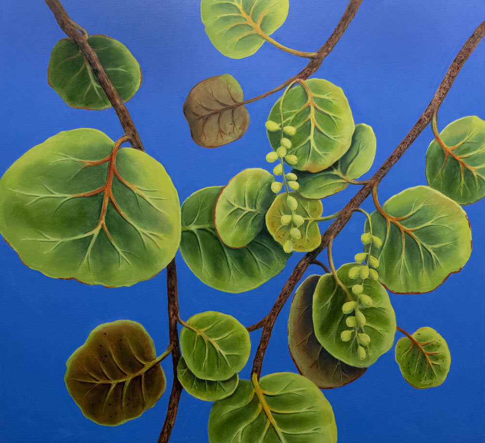 Seagrapes on Blue #2