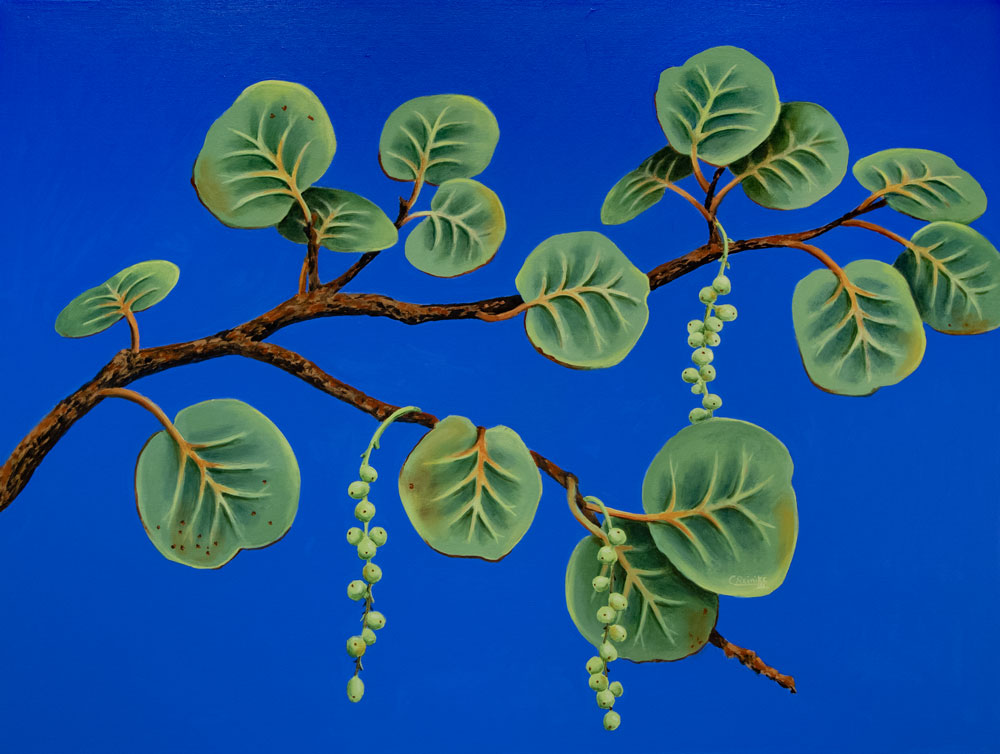 Seagrapes on Blue #3