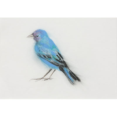 "Feathers #10" by Gretchen R.R. Eppling