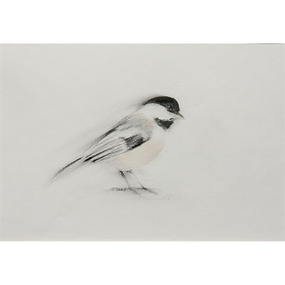 "Feathers #13" by Gretchen R.R. Eppling