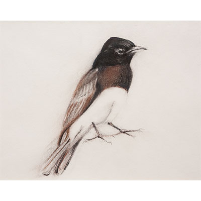 "Feathers #9" by Gretchen R.R. Eppling