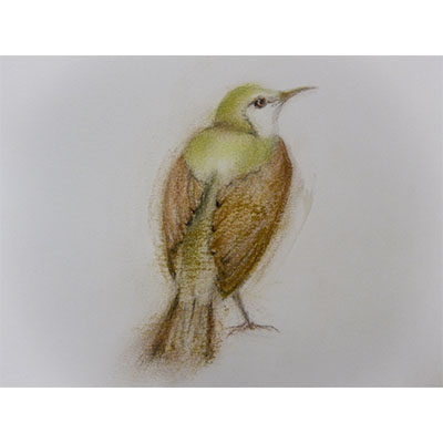 "Feathers #2" by Gretchen R.R. Eppling