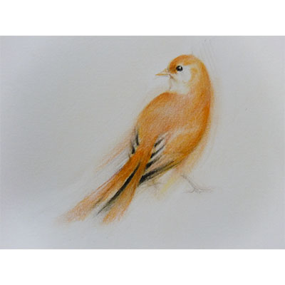 "Feathers #3" by Gretchen R.R. Eppling