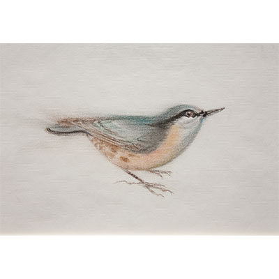 "Feathers #6" by Gretchen R.R. Eppling