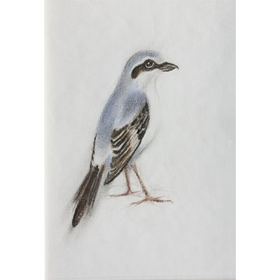 "Feathers #8" by Gretchen R.R. Eppling