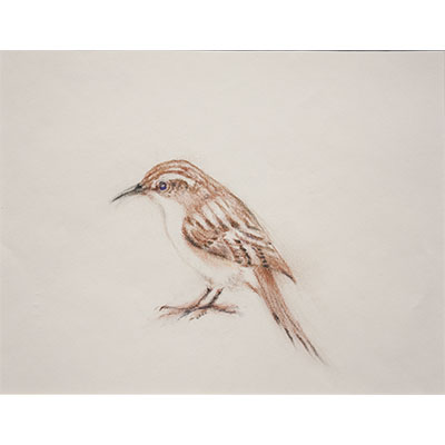 "Feathers #14" by Gretchen R.R. Eppling
