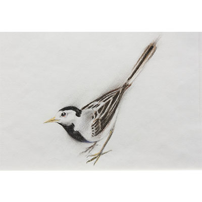 "Feathers #16" by Gretchen R.R. Eppling