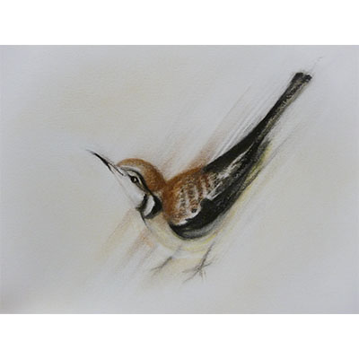 "Feathers #5" by Gretchen R.R. Eppling