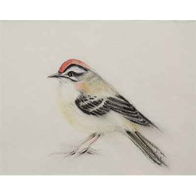 "Feathers #17" by Gretchen R.R. Eppling