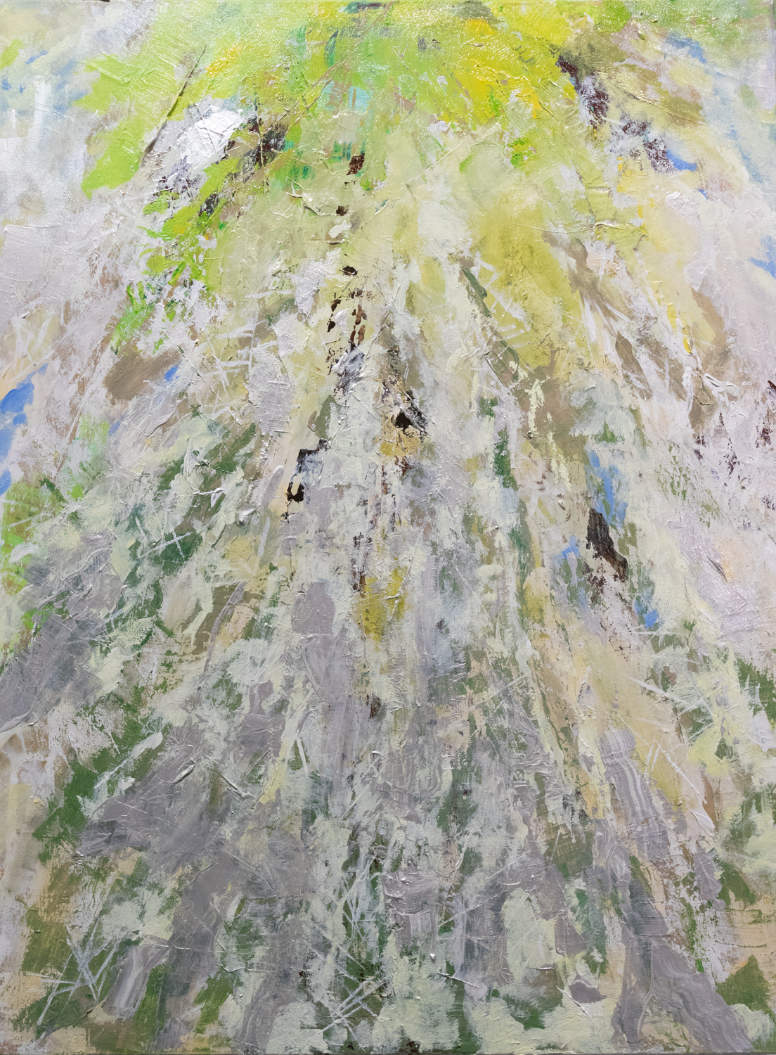 "Cascading Spanish Moss" by Patricia Fabian