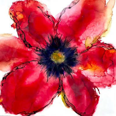 "Poppy Red #2" 24 X 24 by Deborah Llewellyn