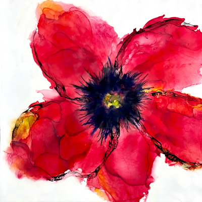 Poppy Red #3 24 X 24 by Deborah Llewellyn