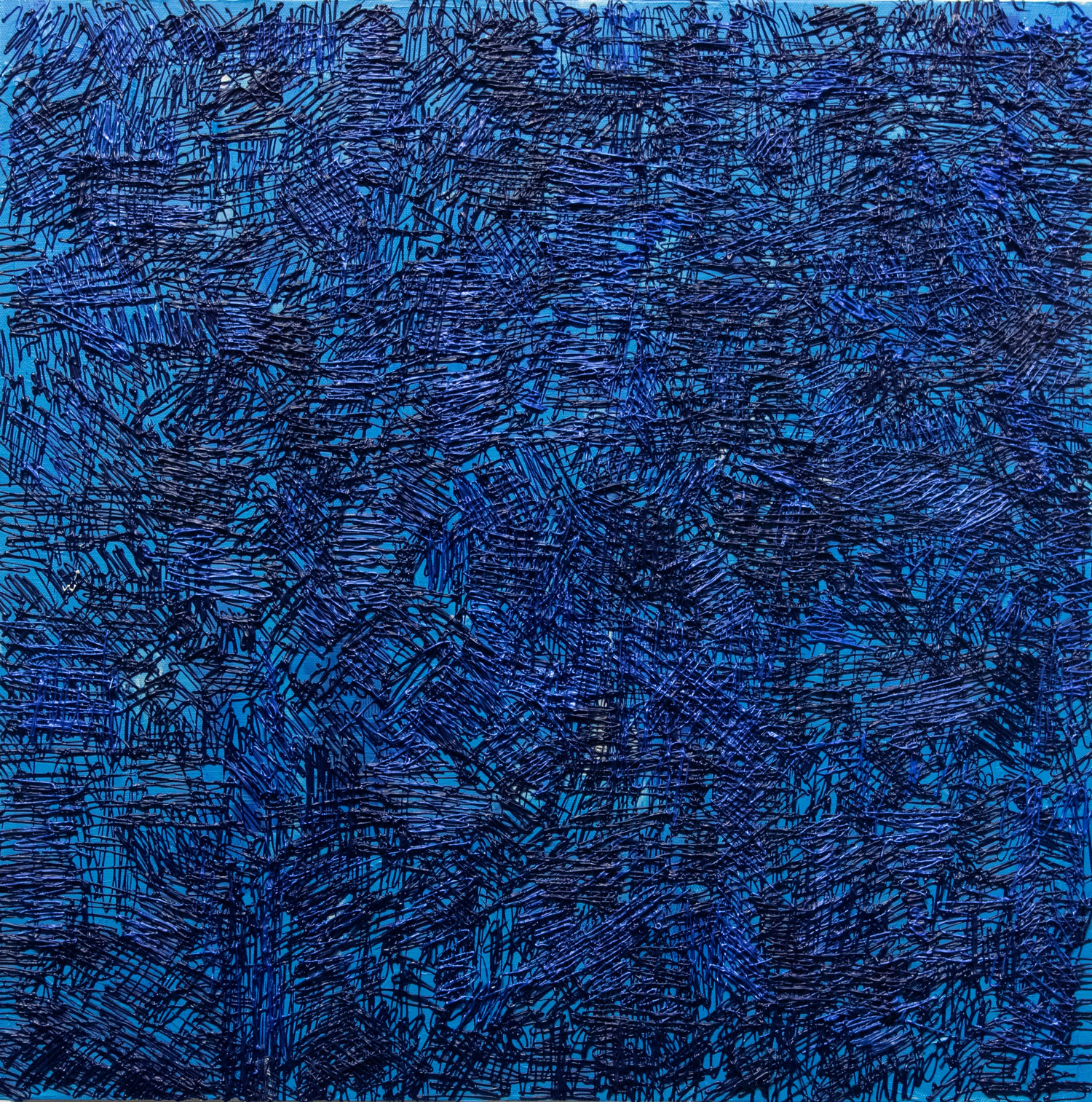 Blue Haring by w.e. pugh