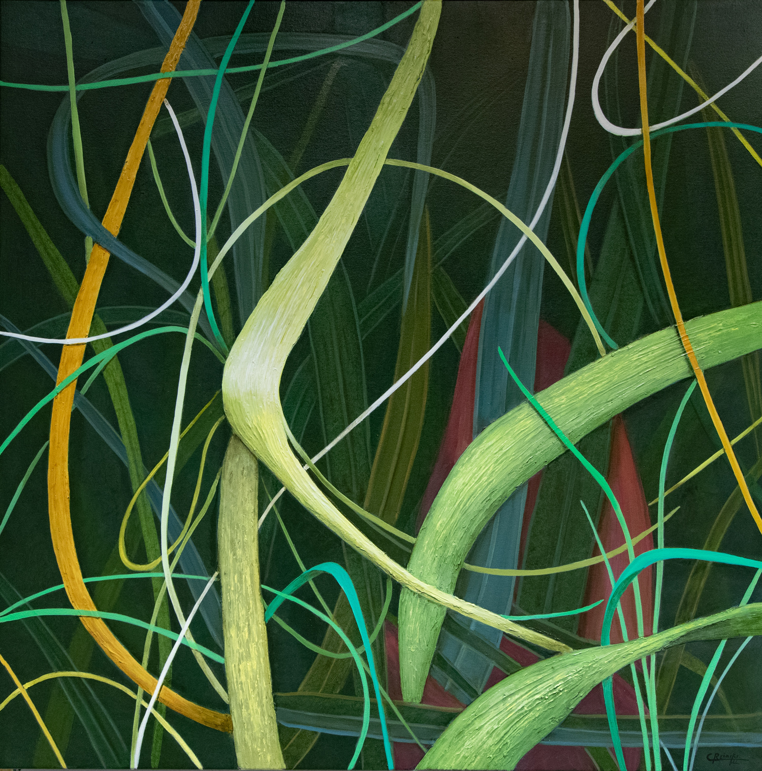 Entangled 20 X 59 by Charles H. Reinike III