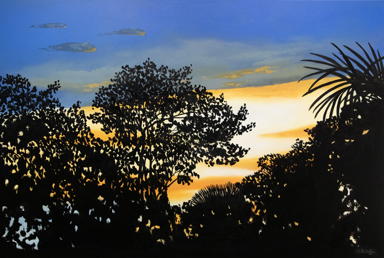 Lace 40 X 60 by Charles H. Reinike III