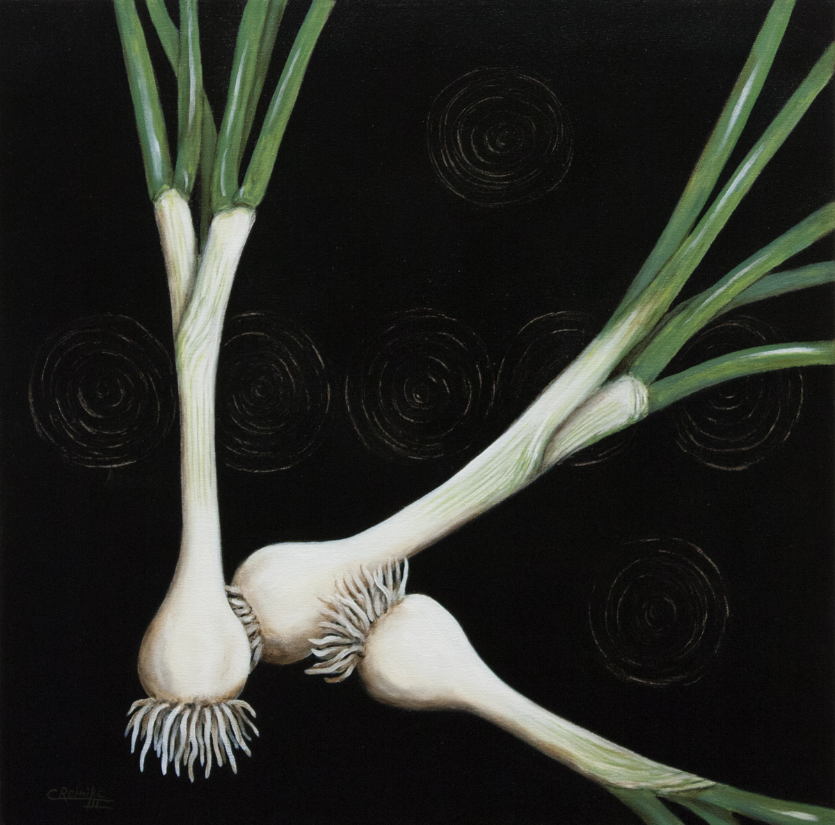 Vidalia II 24 X 24 by Charles H. Reinike III