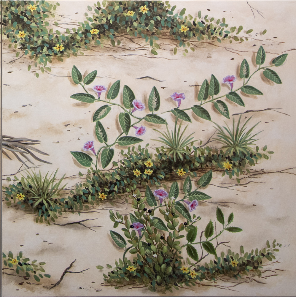 Dune Life 42 X 42 lower left canvas by Charles H. Reinike III