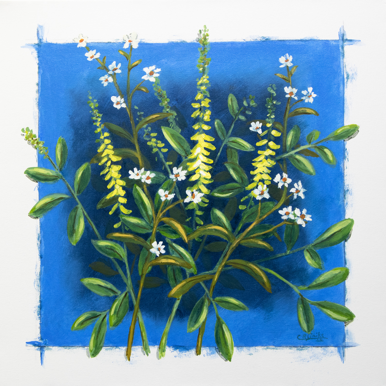 "Flora - Yellow Spikes" 18 X 18 by Charles H. Reinike III - SCROLL DOWN FOR DETAIL "Flora - Yellow Spikes" 18 X 18 by Charles H. Reinike III
