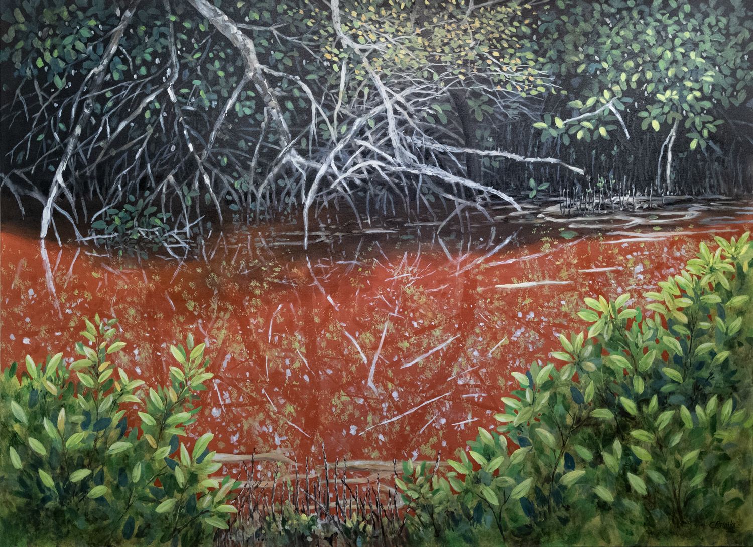 Red Mangrove 44 X 60 by Charles H. Reinike III