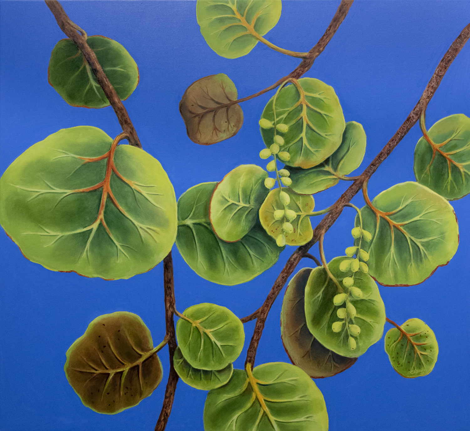 Sea Grapes in Blue II 44 X 48 by Charles H. Reinike III