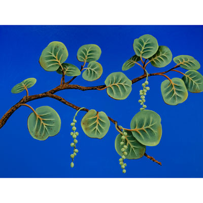 "Seagrapes on Blue # 3" 36 X 48 by Charles H. Reinike III
